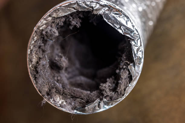Best Affordable Air Duct Cleaning  in Cross Plains, TX